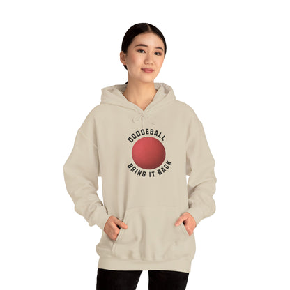 Dodgeball Hoodie, Bring It Back Sweatshirt, Sports Apparel, Unisex Hoodie